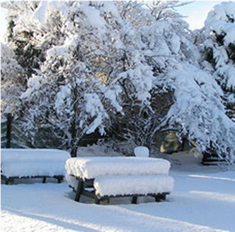 Jack In The Green Garden Rooms Hanmer Springs Extérieur photo