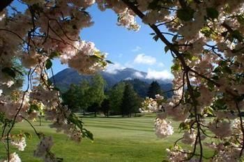 Jack In The Green Garden Rooms Hanmer Springs Extérieur photo